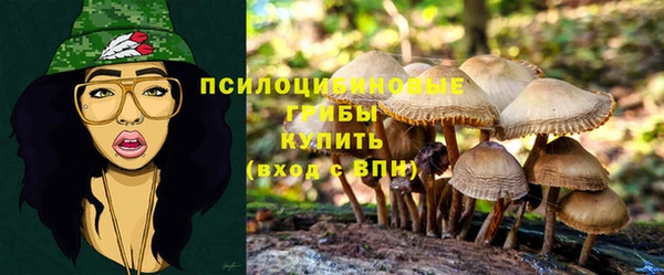 МДПВ Аркадак