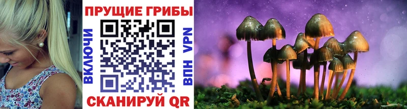 Галлюциногенные грибы GOLDEN TEACHER  Сибай 