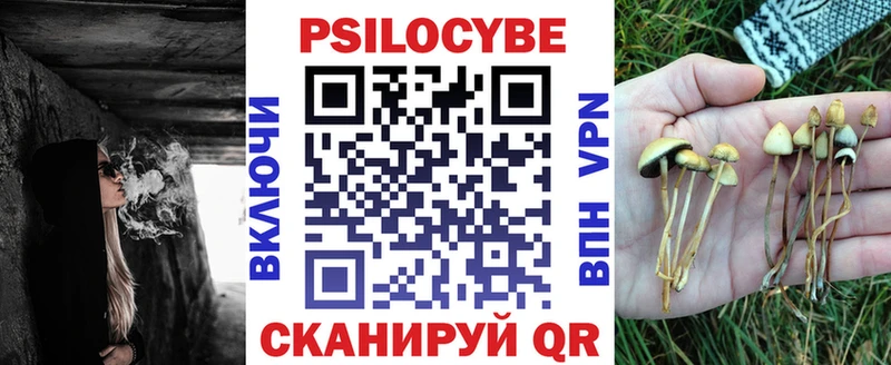 Галлюциногенные грибы Psilocybe Сибай