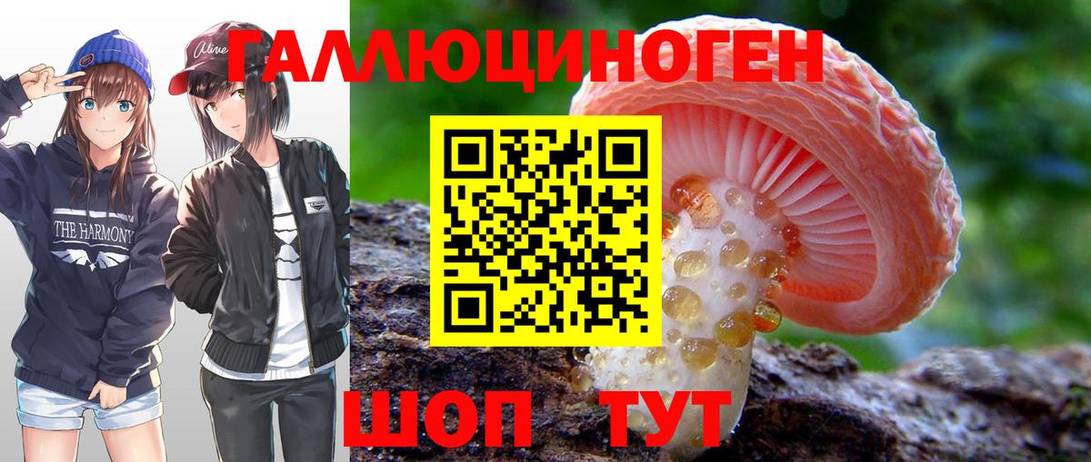 Сибай  Галлюциногенные грибы Cubensis  Псилоцибиновые грибы прущие грибы  Вход с VPN 